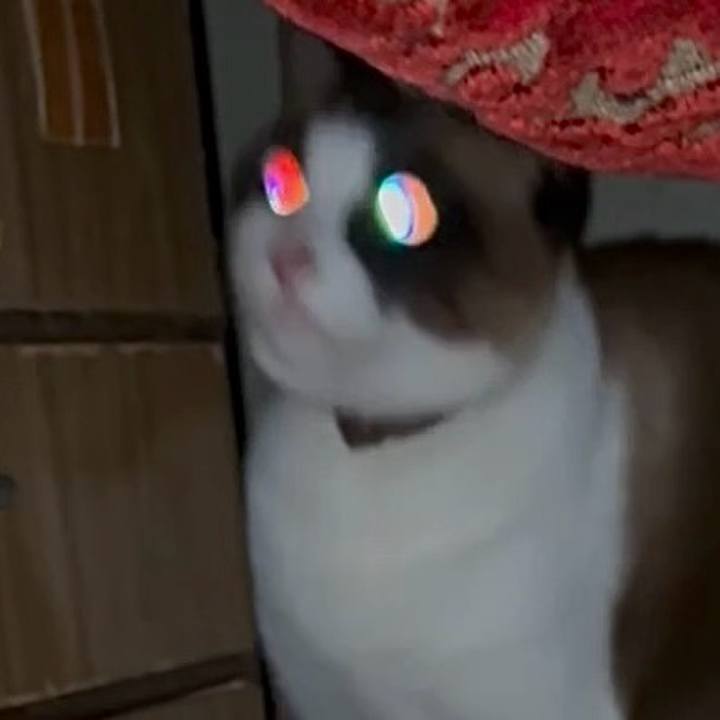 4a886570 cc67 4fd0 a72f 3c956d9b1ddd 1752804521314