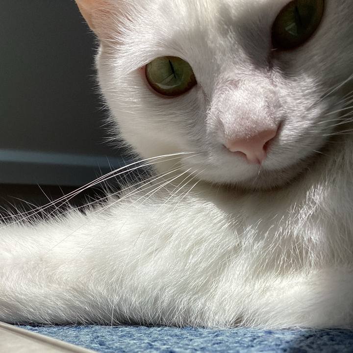 4a890336 de0d 47ef b71c 757267bab759 1653702704422