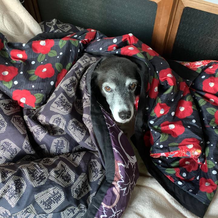 4a891305 68f1 4bd8 b2a0 1a3c7b107d66 1577540040724