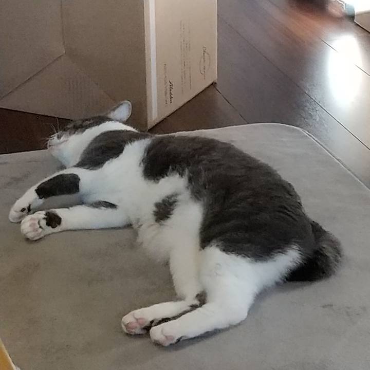 4a891bb9 d01b 4522 89e4 3c0dece910e4 1612426118603