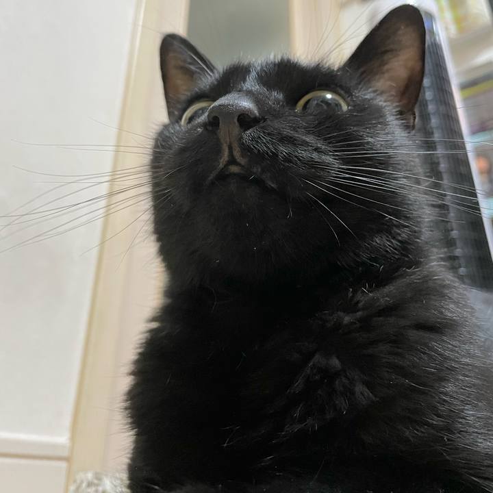 4a891feb 48ab 4e6e 9e6e 8a5615ab5da4 1664032917874