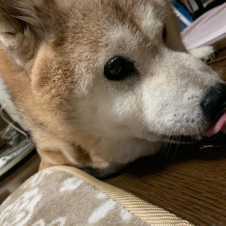 4a893306 28b0 4faa 9456 fcbf8ff650fa 1663336432019