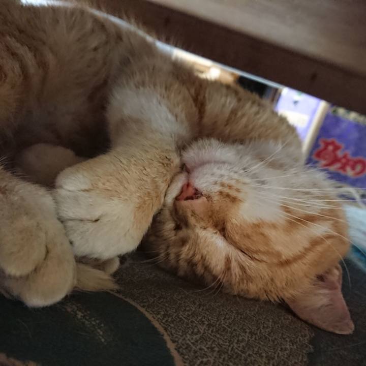 4a89540a d172 4a0d b371 daefa71edd14 1557825702390