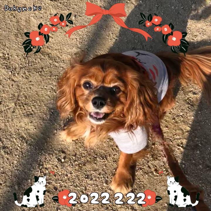 4a896089 9e50 4d75 bde1 48d69e9c7205 1645575795980