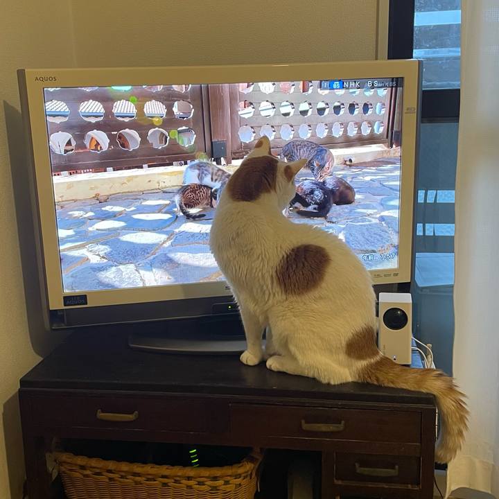 4a89880a f213 4274 897b d78eaf01d999 1736118279793