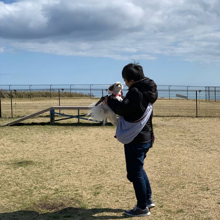 4a89a08a 678e 421b 949c e1dd83dd16ea 1584319438887