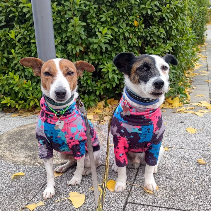 4a89c0ca d18f 4e2d b14e 083ca7878c18 1702684303466