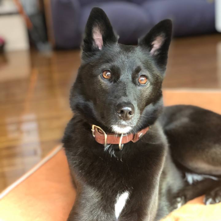 4a89c105 ec1b 4a63 9191 bd26dd30c426 1566685449289