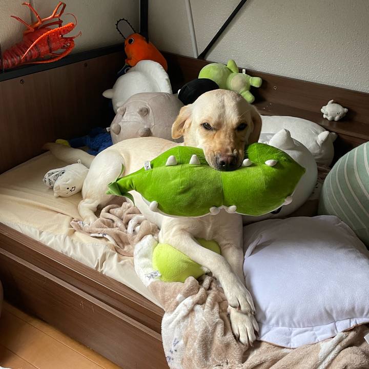 4a8a40b8 ed14 47b5 841d 9226411bf1bb 1673850028330