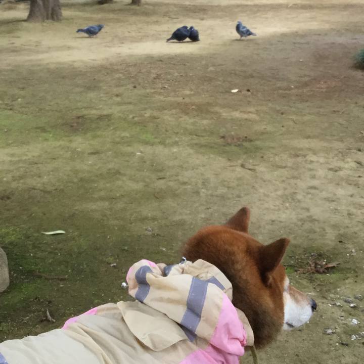 4a8a5bbc bc78 4d6f a3f6 af004ad6af46 1583302497471