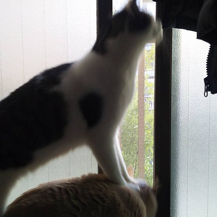 4a8ab530 9067 4635 9e6b 65d0c8694d81 1520651546247