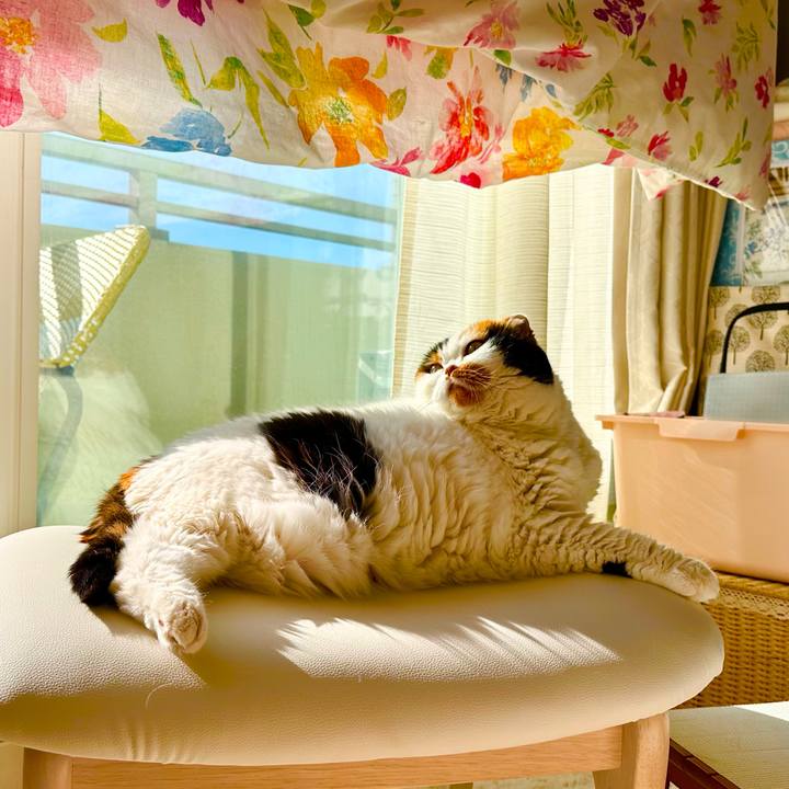 4a8ab6a3 f219 4292 b2c0 fb01c169b24a 1698195050745