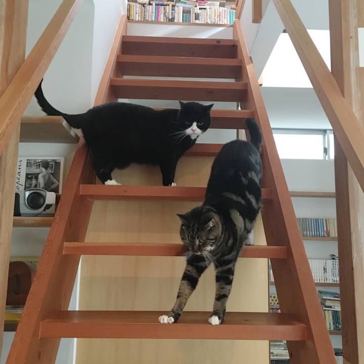 4a8ac7e3 0cd5 44e6 8fc0 728768d26e0d 1579875218650