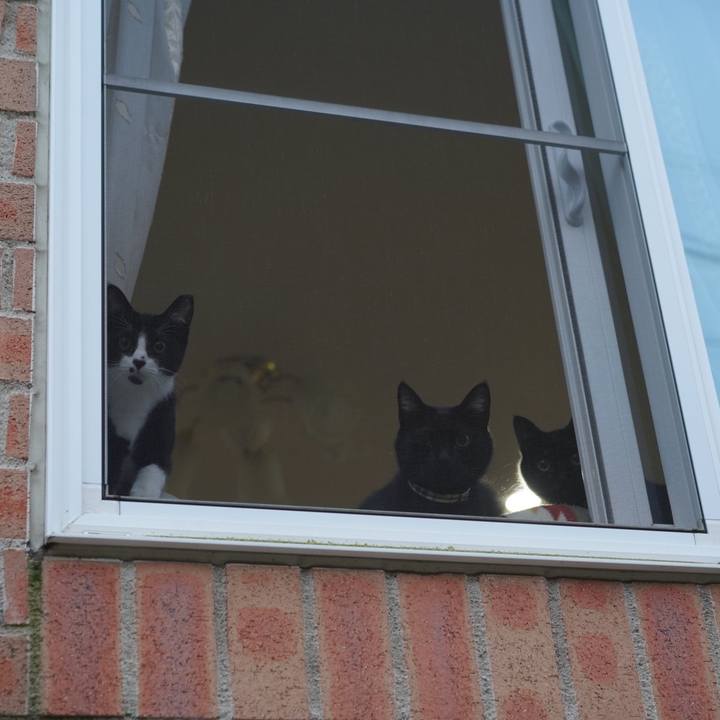 4a8b075d 6600 4aff b098 29065fce874f 1580083703161