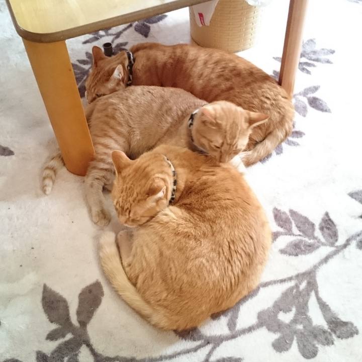 4a8b1f22 5088 4c56 aeb6 173d51e6996c 1580294636867