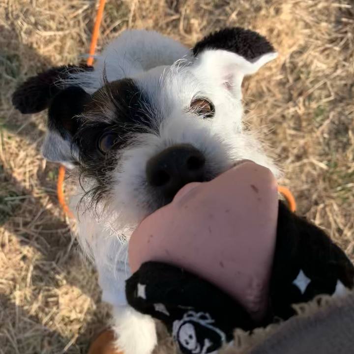 4a8b552f deee 4267 bb69 bf5d10f78788 1739492527781