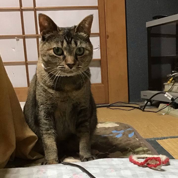 4a8b5e01 9697 4296 b8d3 c6056403fae3 1686229418785