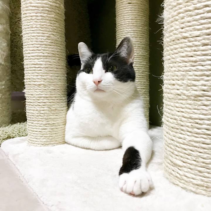 4a8b7557 db14 444e a302 efe964fdda30 1523411329544