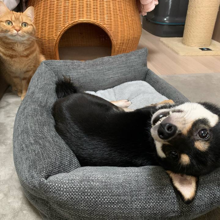 4a8b8e84 d8e4 4332 aa9f b55051c4794b 1607314581812