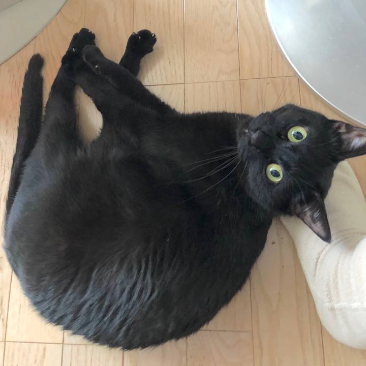 4a8ba16c ccc7 44e2 9d17 a872c63d0a54 1517714048404