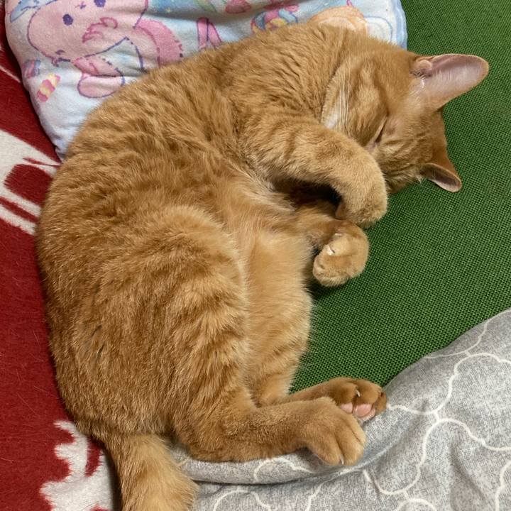 4a8bdc61 8f5f 4347 a7c9 6cfe2a2aa413 1760585521455