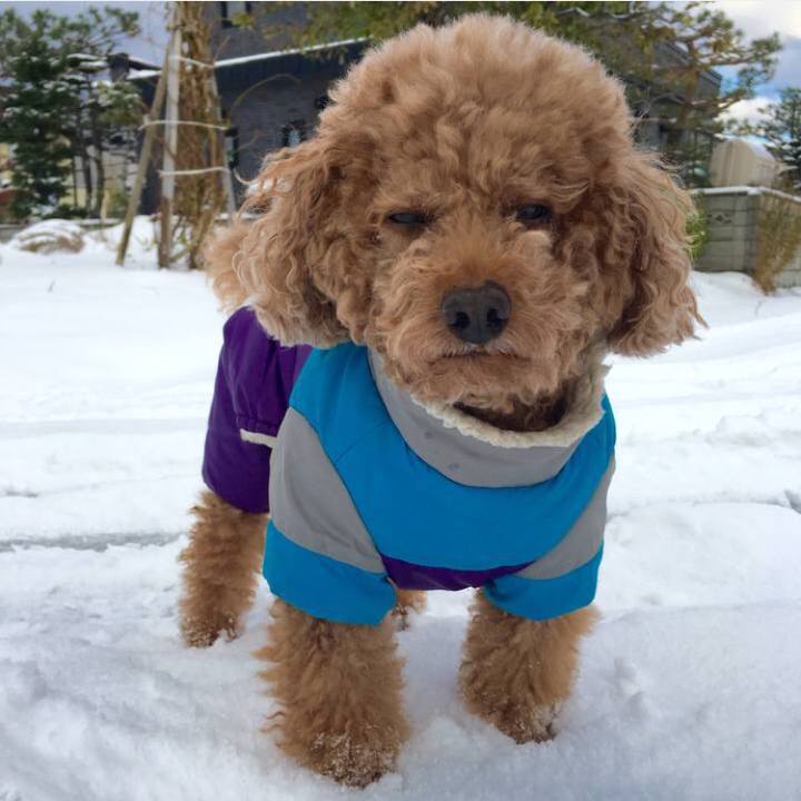 4a8bf62d 4942 47fc b284 5bba371f32dd 1548342437034