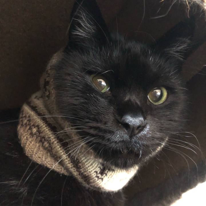 4a8bf7c3 74c1 46ba 8af0 5a66d7ae261d 1604135230226