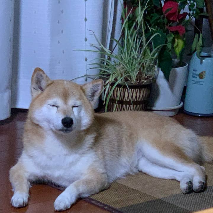 4a8c32e8 7cc9 4920 8715 b4ebfac0702c 1651832423758