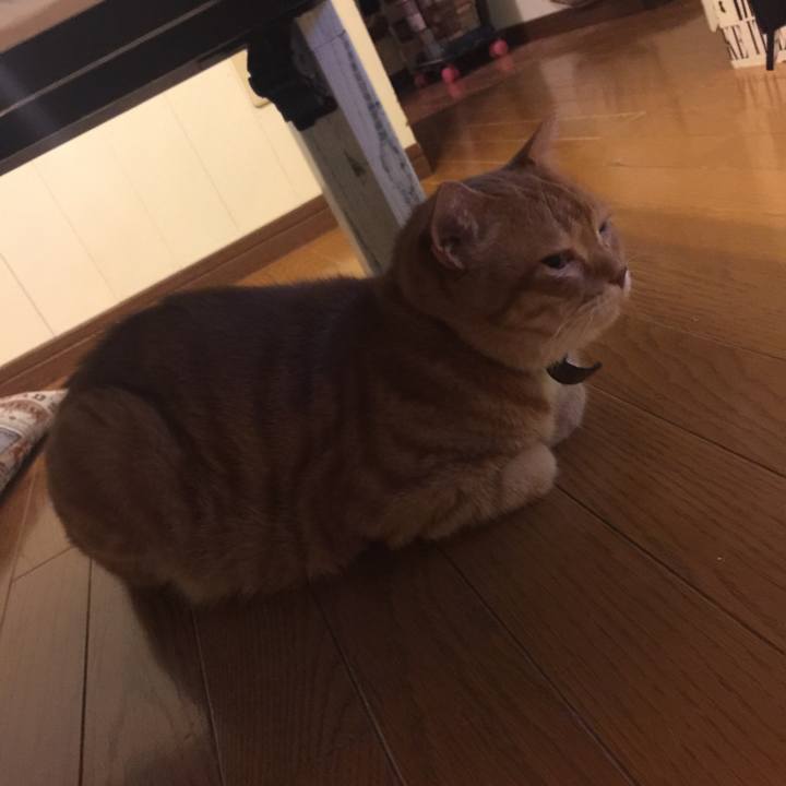 4a8c6fc4 f12c 48c9 bd67 7ef290c769af 1558885459277