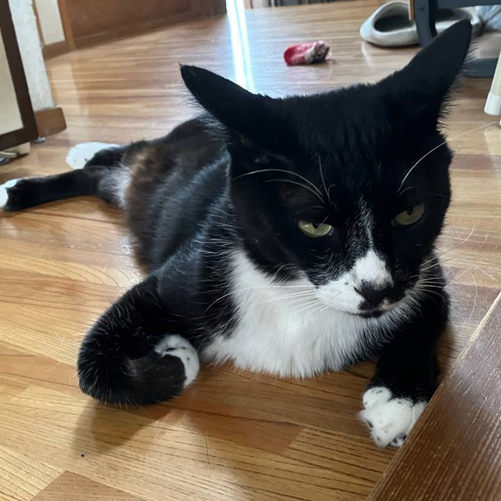 4a8c91f3 431e 4826 a4dd 6287cb12ecef 1665632351725