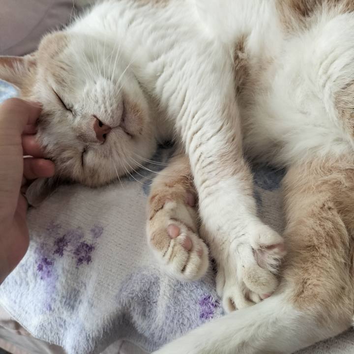 4a8cb65d 4ff7 4dca a375 dcd7d6fbf233 1662935572150