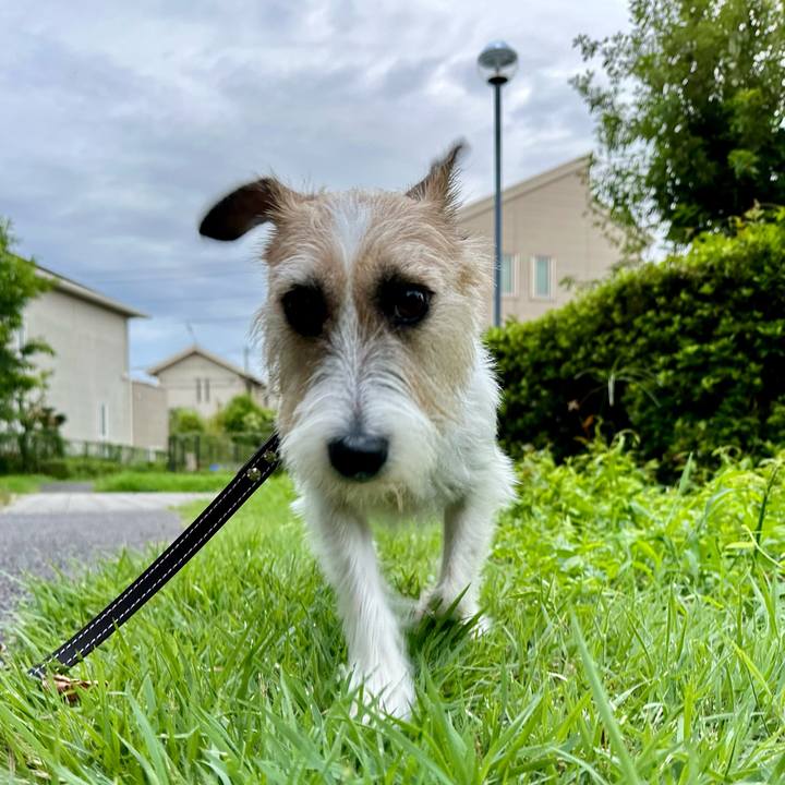 4a8cc14e 4ec5 4883 b4e8 6d2d45b2a3d1 1725431601549