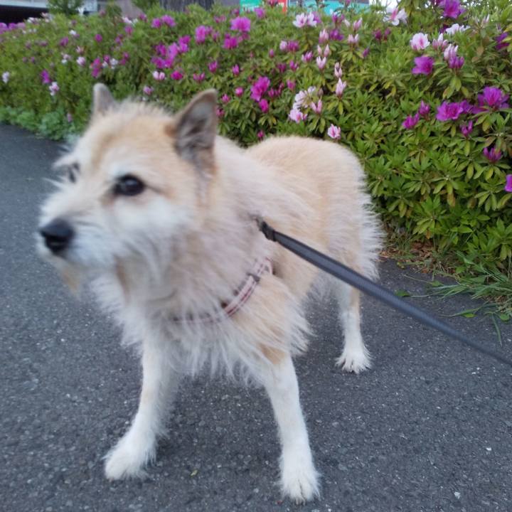 4a8ccf55 7b67 4719 955d a849942926a9 1556359688678