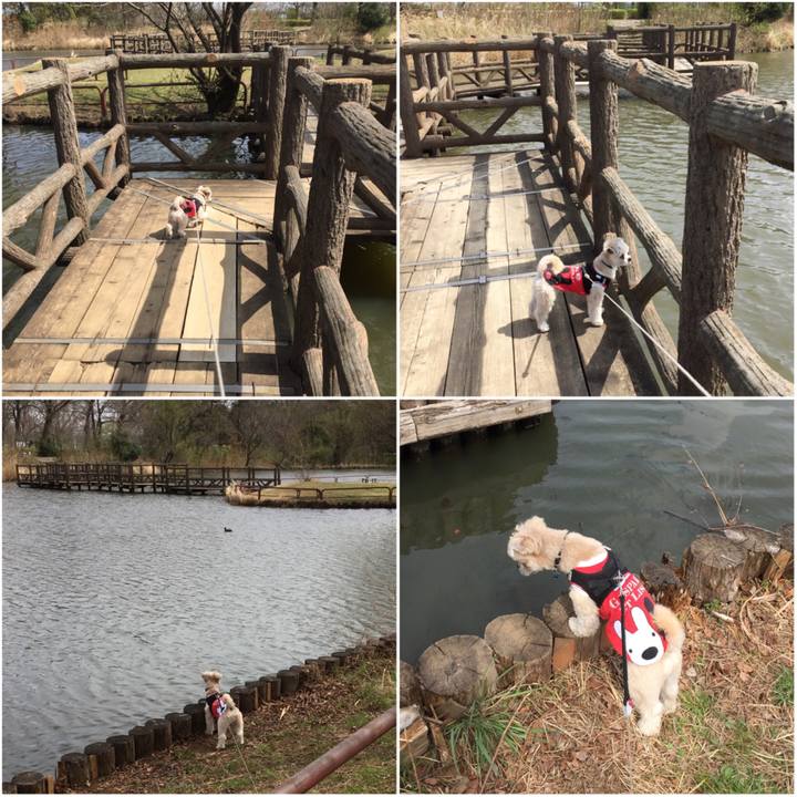 4a8cdce0 f1b4 4cfb 8add a054fd54072e 1553237447916