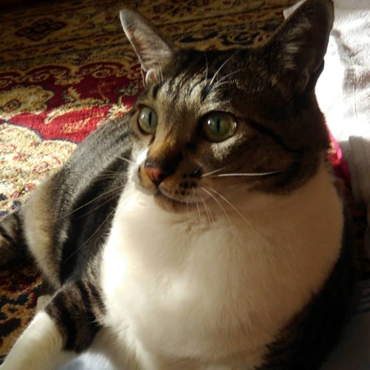 4a8cde12 460e 4718 bc2b c040b3aecc2c 1528115086569