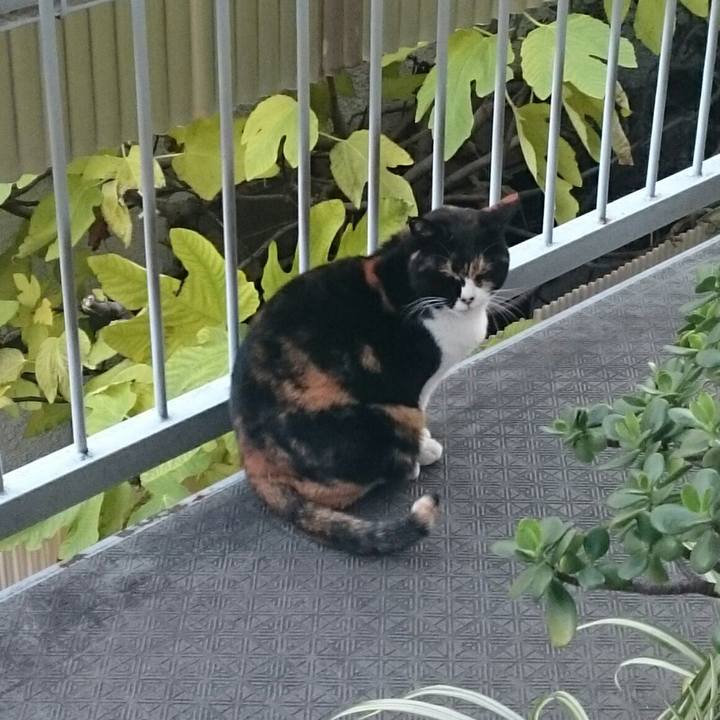 4a8cde22 c963 4cf0 a2d6 f1580ef10c7f 1512522548211