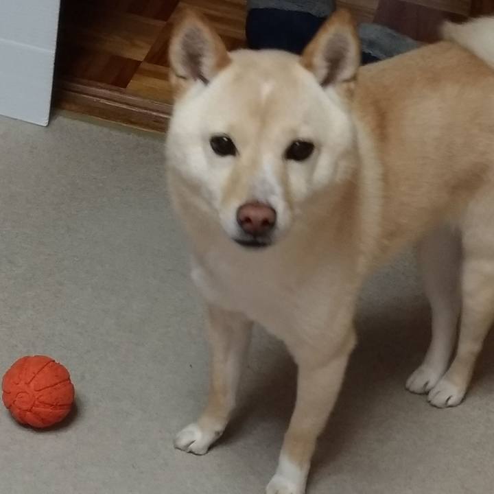 4a8cf566 3815 4271 93a6 1e9e2e1be09c 1549845449771