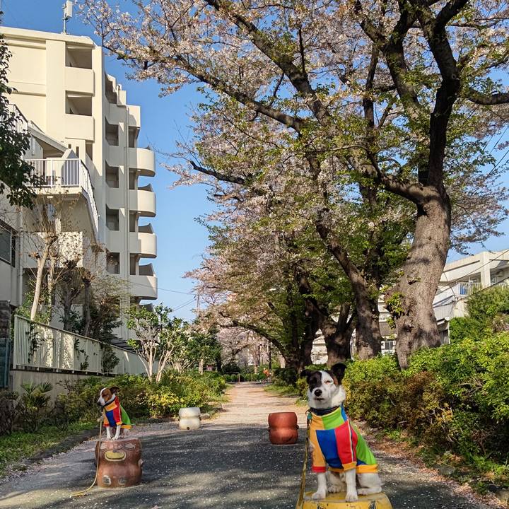 4a8d061b 372b 46b2 8c16 57086ae96815 1712791976059