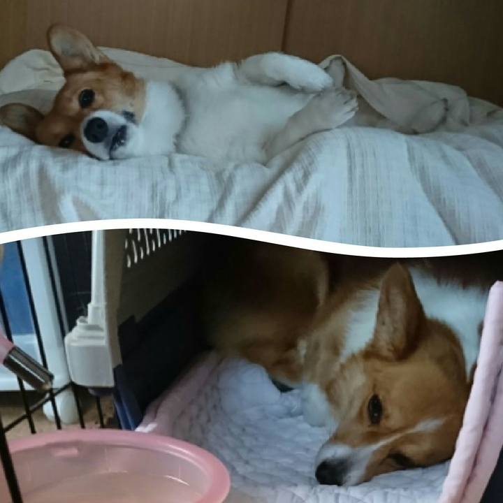 4a8d3ee0 57c5 48c5 b2be b9f0214e3247 1522314187274