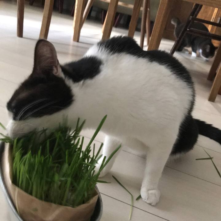 4a8d43ac f742 4366 8835 2459310a0ba7 1606356759980