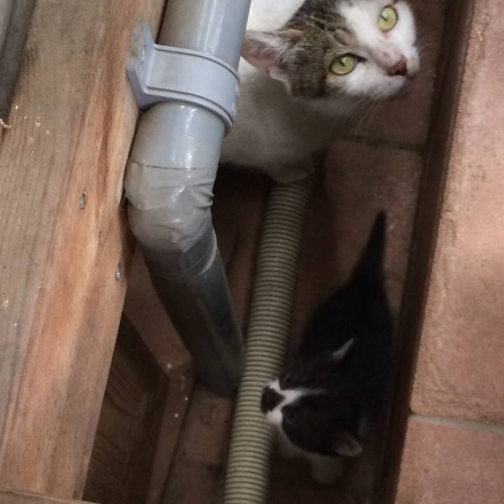 4a8d5b3b dc53 4979 bab7 8fbbf325bd10 1561583969178