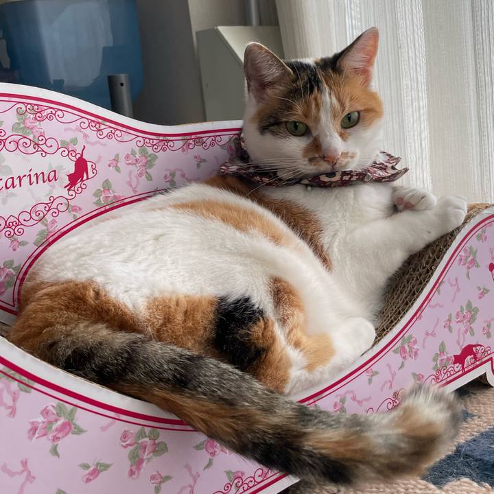 4a8d7005 d0ad 4bee b842 9c0530a4a788 1759102539852