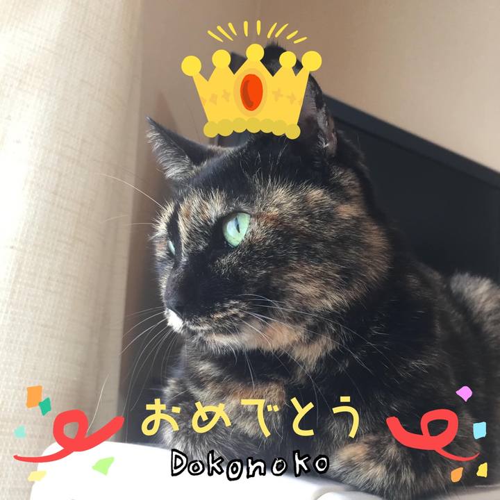 4a8da465 d0dc 42ef a876 dab6a34ff240 1685952907029