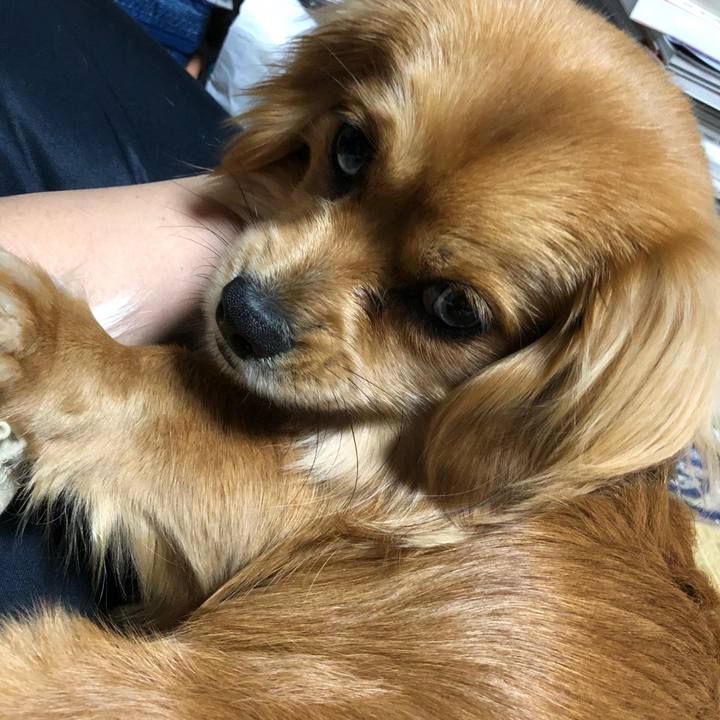 4a8db7a6 4d76 4b72 971d 964ef0c7b45c 1519595887179