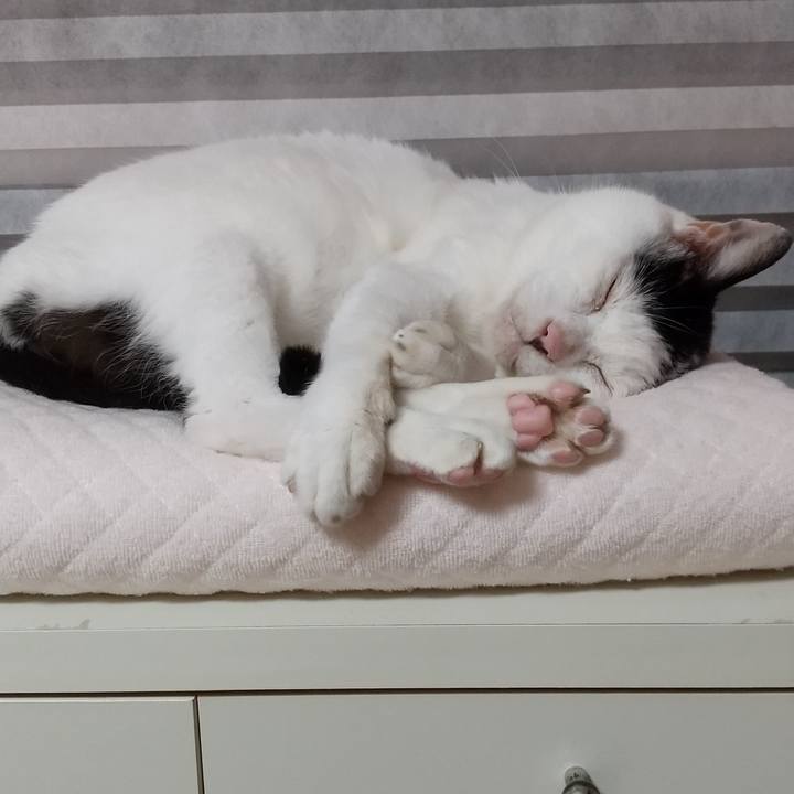 4a8de4b1 d771 4fe6 8efd bc15b21a9e61 1626532039030