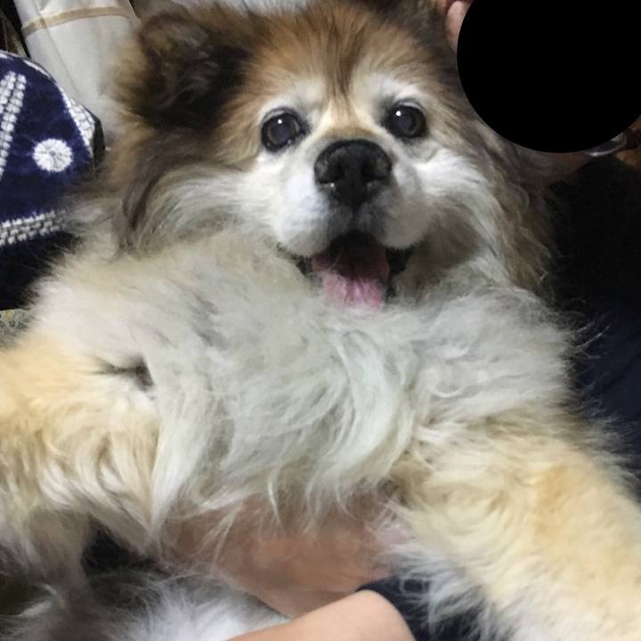 4a8e5cce 2835 48ed b880 2741c6e94117 1576997178251