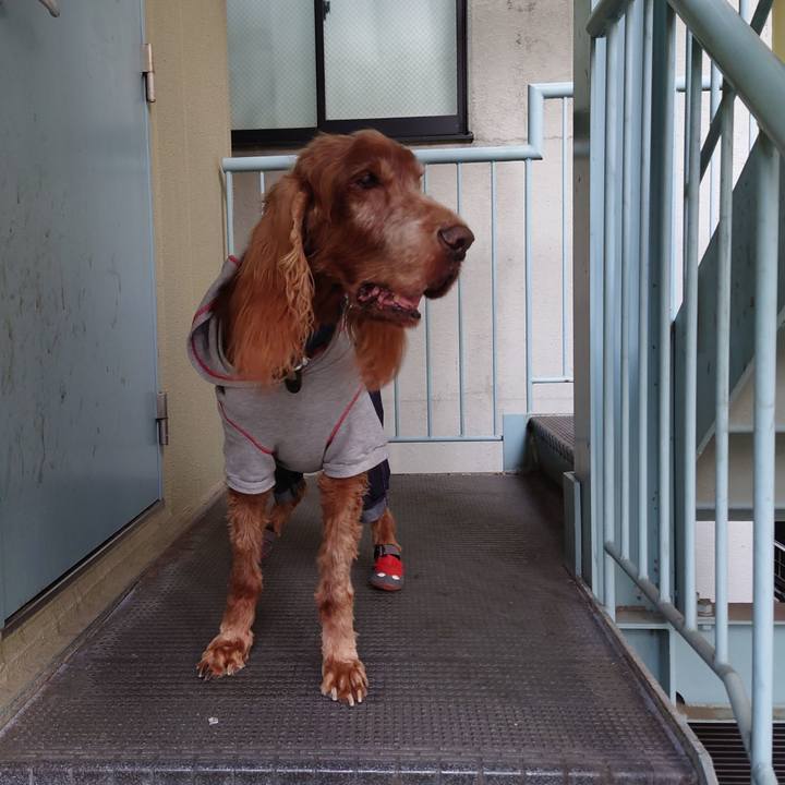 4a8e6ca8 514b 4621 8edc 69c8b920f464 1702464685322