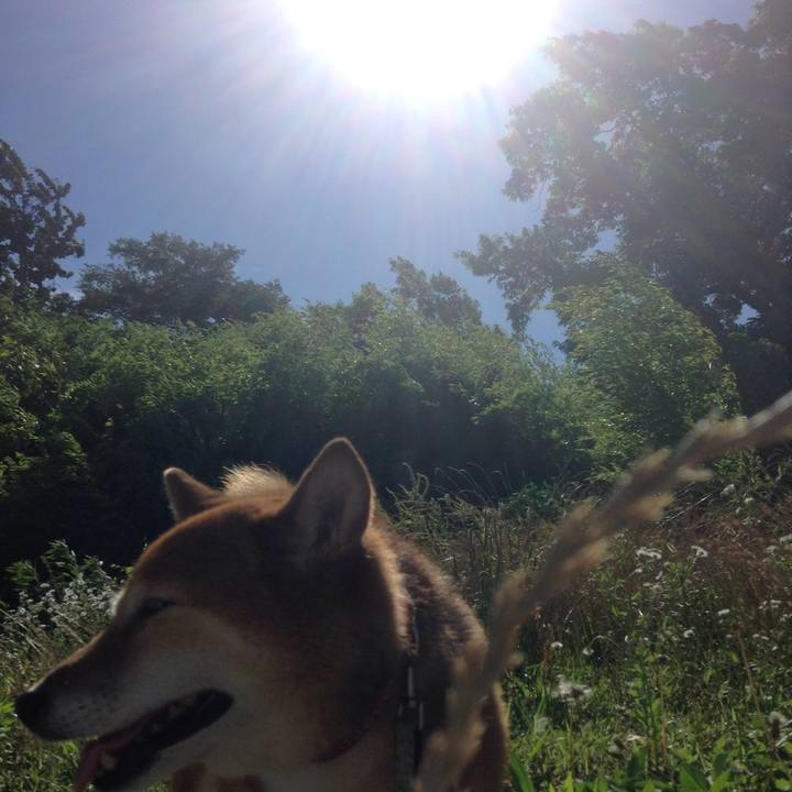 4a8e82fc 2a39 4c7d 9ef1 bc229c9986ac 1530228904808