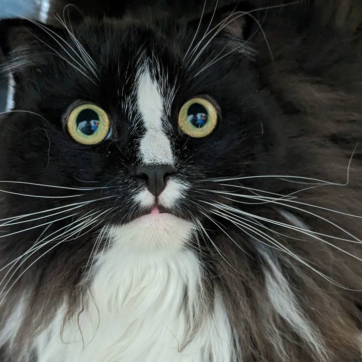 4a8e9528 7e75 4ce0 ad25 9f405e8ea439 1691138087881