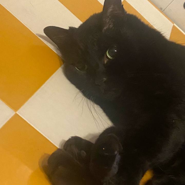 4a8e98e5 e66b 464f 8637 c445bf999753 1717787304816